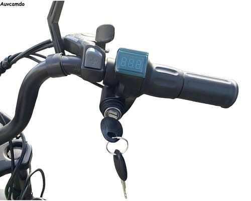 20’’ Heavy Duty Manned Electric Tricycle Max 50km Cargo Trike 350W 48V E-Trike