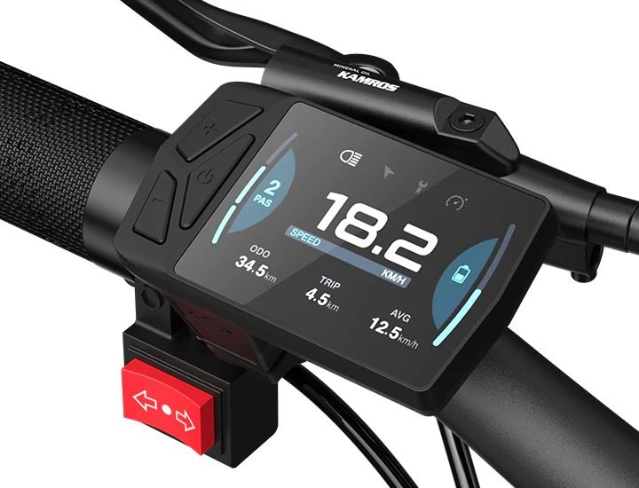 ADO Oasis 260T Dual-Battery Cargo E-Bike