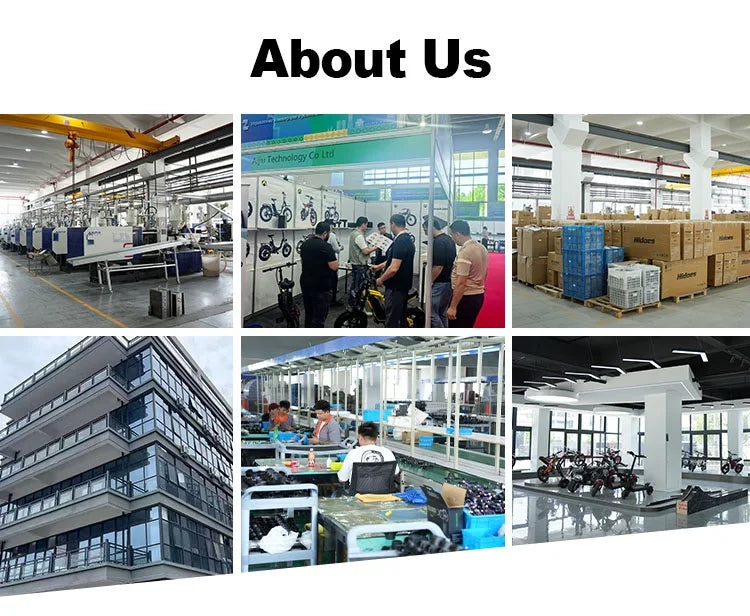 Peak Motor 3000W 45MPH 60V 20Ah Removable Li-ion Battery Dual Hydraulic Disc Brake Fat Tire Electric Mountain Bike With E-ABS